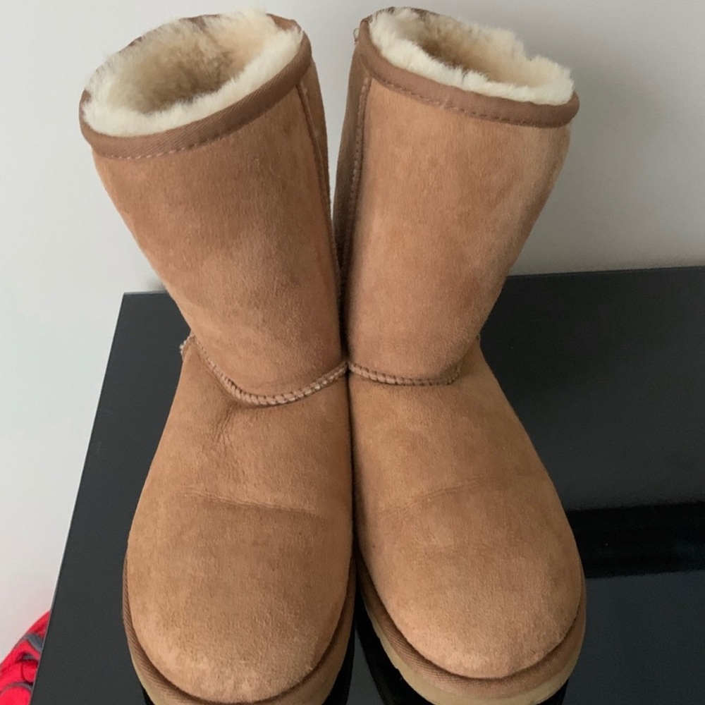 Women’s classic short chestnut uggs